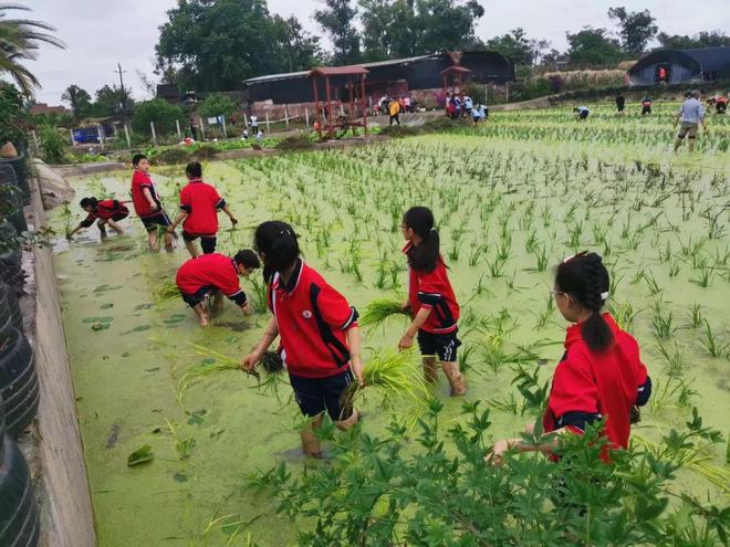 赢博体育2023年重庆市中小学劳动教学规范案例显现：荣昌区教学委员会(图6)