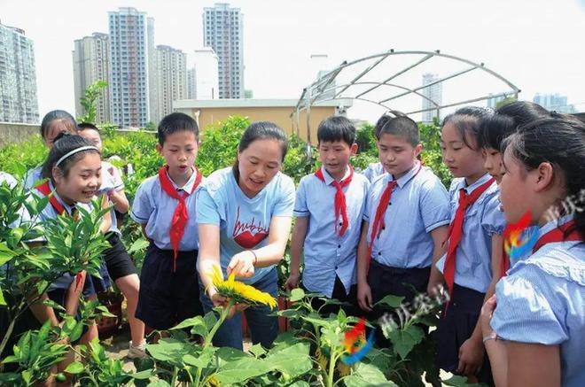 赢博体育2023年重庆市中小学劳动教学规范案例显现：荣昌区教学委员会(图3)