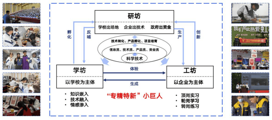 赢博体育道喜！乐清这所学校上榜省级名单(图4)